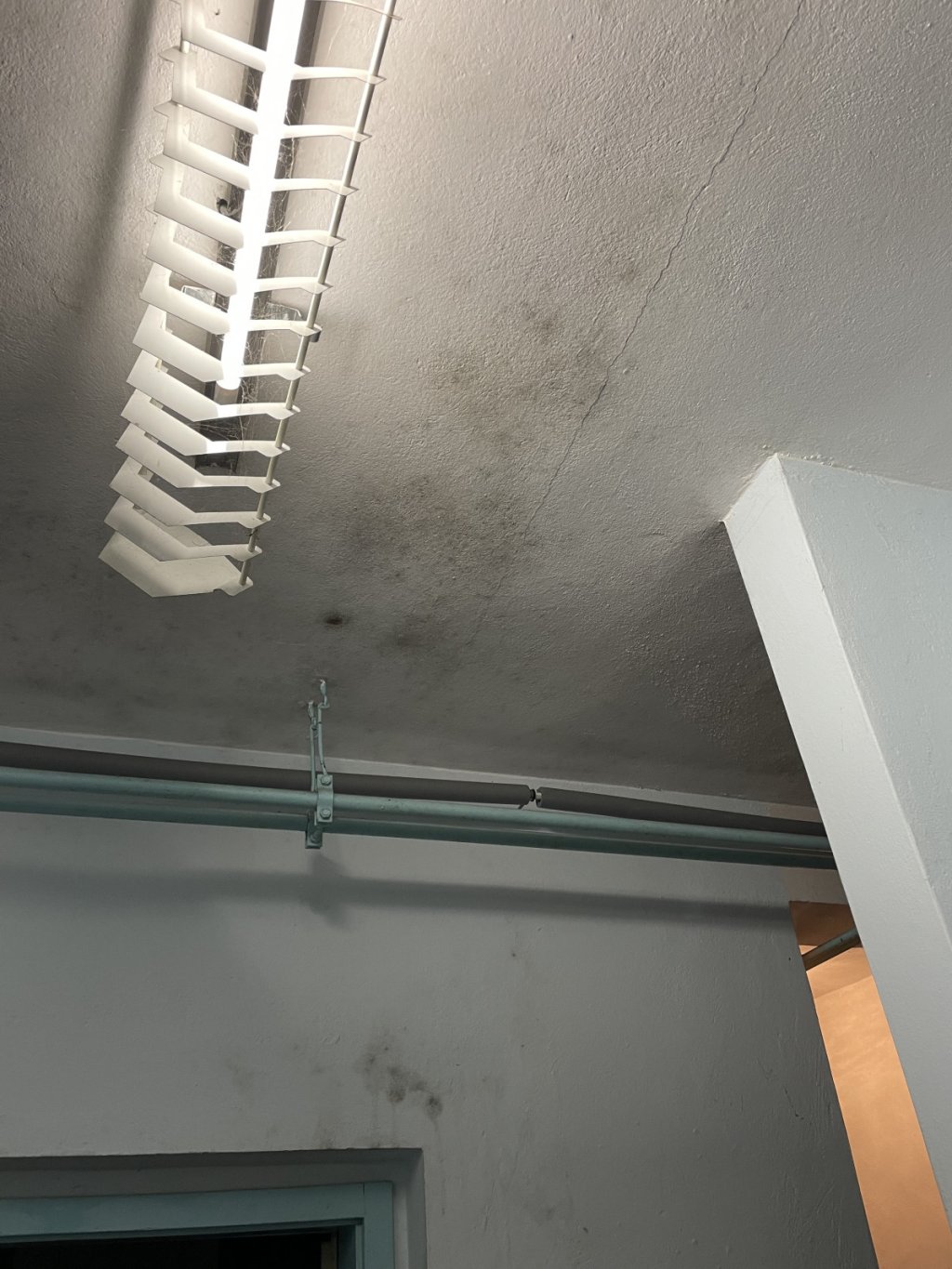 Schimmel an Deckenwand, es sind Rohre und Leuchtstoffröhren zu sehen.
